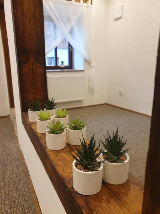 U Mikesu Apartment Vyssi Brod Exterior photo